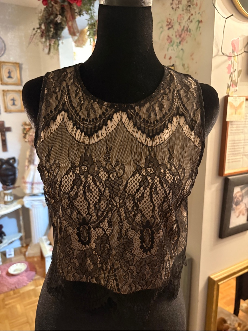 Express Black Sheer Lace Sleeveless Crop Top